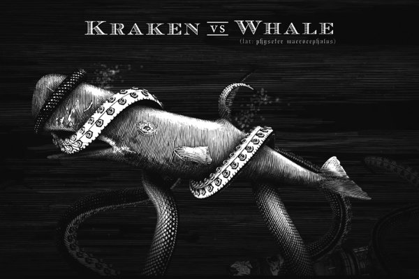 Kraken 5at