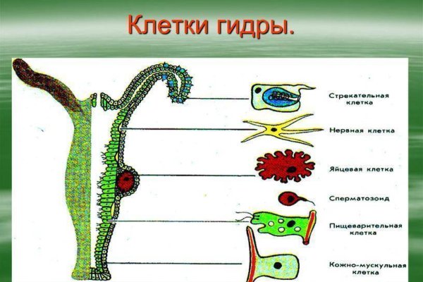 Кракен даркнет зеркало пв