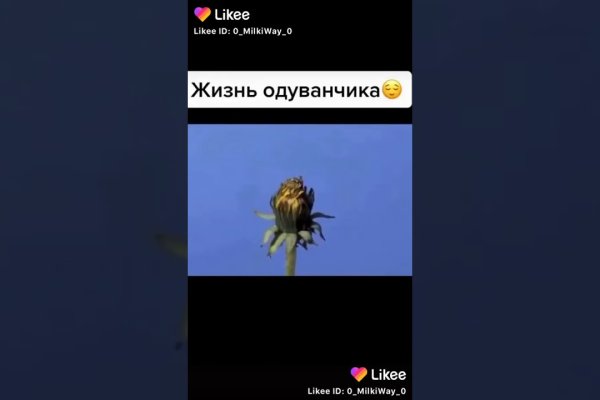 Через какой браузер заходить на кракен