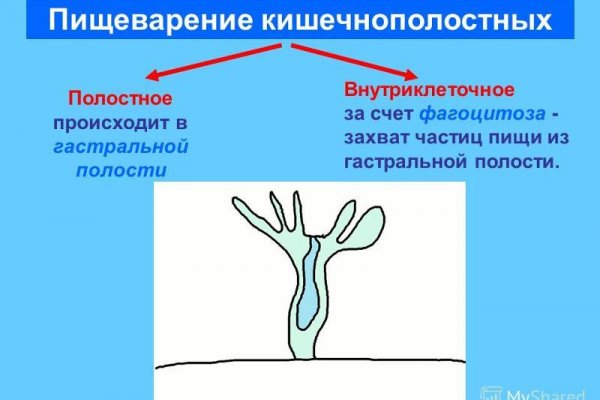 Кракен перестал работать