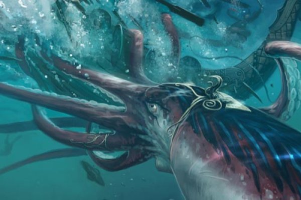 Kraken 14at