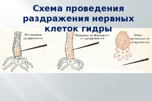 Клир ссылка на кракен 2025