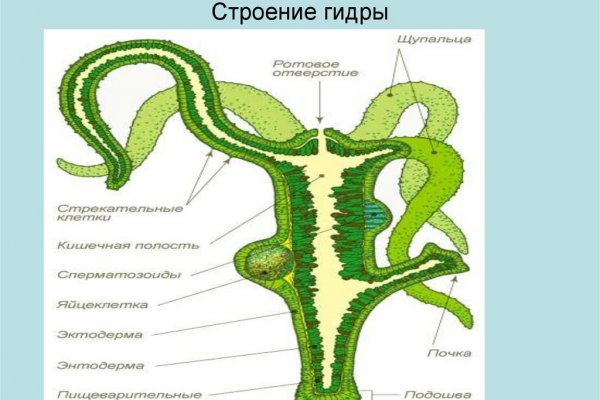 Как попасть на сайт кракен
