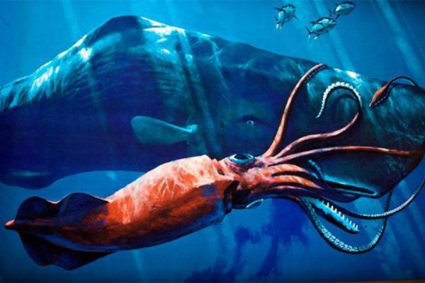 Кракен маркетплейс ссылка krakenat2krnkrnk com